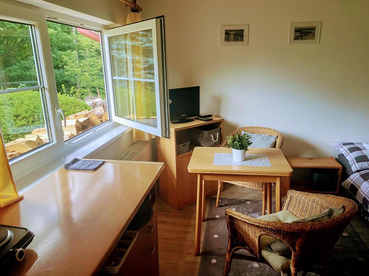 Apartman U Potucku Appartement Železná Ruda Buitenkant foto